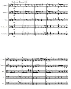 火星震动 1级 弦乐合奏总谱+分谱 有试听-云音圈