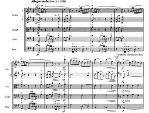 爱尔兰狂想 朗斐尔版 中级 交响弦乐合奏总谱+分谱 G3.5 有试听-云音圈