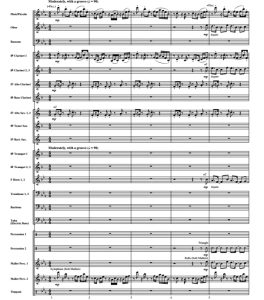 猫头鹰之城 Fireflies 中级 交响管乐合奏总谱+分谱 3级 有试听-云音圈