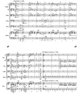 理念 初级 交响弦乐合奏总谱+分谱 有试听-云音圈