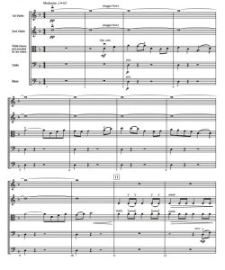 真爱是黑发 中级 交响弦乐合奏总谱+分谱 3级 有试听-云音圈