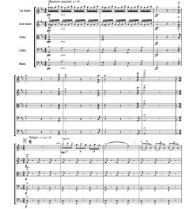 罗西尼 鹊贼 蒙迪版 中级 交响弦乐合奏总谱+分谱 3级 有试听-云音圈