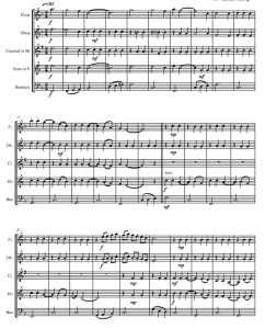 美丽的赛丽托 又名美丽的天空 木管五重奏总谱+分谱 有试听-云音圈