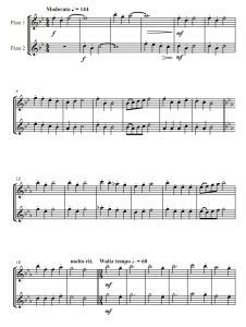 老人变奏曲 长笛二重奏总谱+分谱 有试听-云音圈