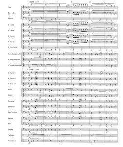 艾薇塔 Don't Cry For Me Argentina 中级 交响管乐合奏总谱+分谱（3级） 有试听-云音圈