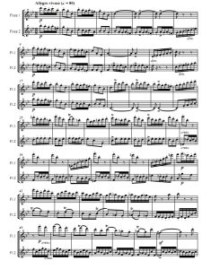 谐谑曲 《仲夏夜之梦》门德尔松 长笛二重奏总谱+分谱 有试听-云音圈