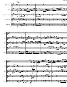 阿尔比诺尼D大调双簧管协奏曲 木管五重奏总谱+分谱 有试听-云音圈