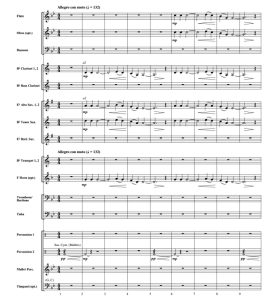 雄鹰之歌 初级 交响管乐合奏总谱+分谱 1.5级 有试听-云音圈