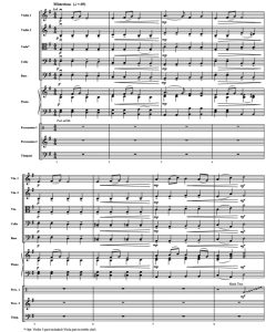 雾洞序曲 卡兹克版 初级 交响弦乐合奏总谱+分谱 G2 有试听-云音圈