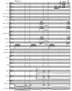 风之谷 久石让 管弦乐总谱+分谱 有试听-云音圈