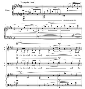 商品为SATB 四声部合唱线谱 风过之后 凯利版 混声合唱SATB+钢琴谱 有试听-云音圈