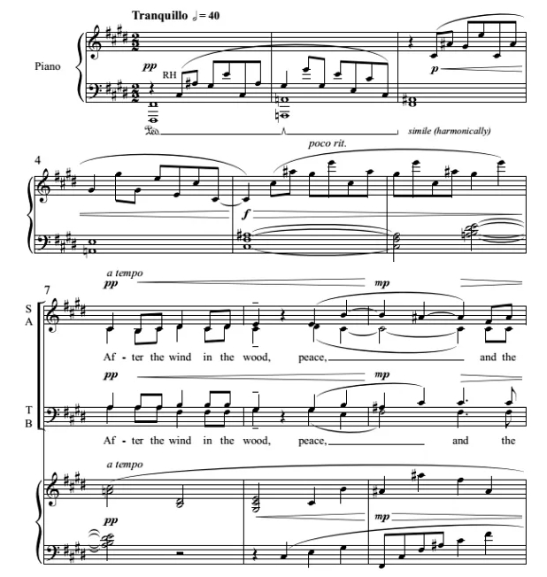 商品为SATB 四声部合唱线谱 风过之后 凯利版 混声合唱SATB+钢琴谱 有试听