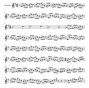 标价非售价 世人仰望的喜悦 金骷髅改编 小号独奏  有试听-云音圈