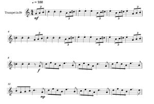 标价非售价 亚当斯一家主题曲 海森堡版 小号独奏 有试听-云音圈