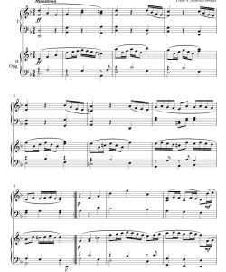 亨利回旋曲 双钢琴四手联弹 有试听-云音圈