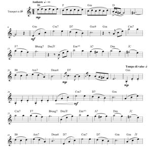 标价非售价 人生的旋转木马 格劳科版 小号独奏 有试听-云音圈