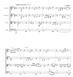 今夜无人入睡 马拉尼版 弦乐四重奏 总谱+分谱 有试听-云音圈