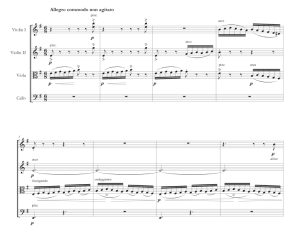 伏尔塔瓦河 马拉尼版  弦乐四重奏 总谱+分谱 有试听-云音圈