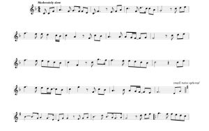 标价非售价 你鼓舞了我 乔希版 小提琴独奏 有试听-云音圈