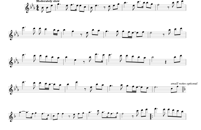 标价非售价 你鼓舞了我 长笛独奏 有试听