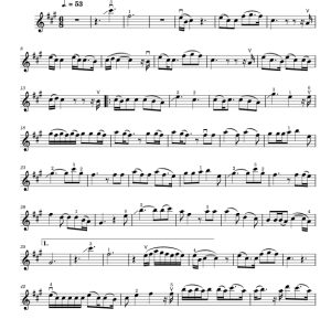 标价非售价 含笑而终 LunaC改编 小提琴独奏 有试听-云音圈