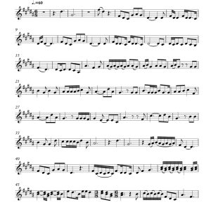 标价非售价 含笑而终 迭戈版 小号独奏 有试听-云音圈