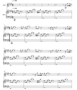 标价非售价 唯我遐想 海森堡版 双簧管钢琴 总分谱 有试听-云音圈