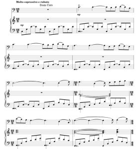 标价非售价 回忆 选自音乐剧《猫》 安德鲁 大提琴钢琴总谱 有试听-云音圈