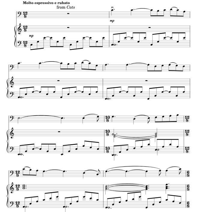 回忆 选自音乐剧《猫》 安德鲁 大提琴钢琴总谱 有试听