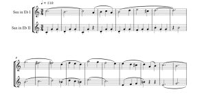 圆舞曲 睡美人 杜达版 萨克斯二重奏 总谱 有试听-云音圈