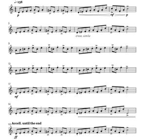 标价非售价 在山魔王的宫殿里 让・舒尔茨版 小号独奏 有试听-云音圈