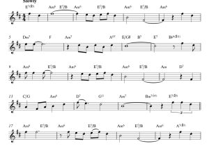 标价非售价 夏日时光  亚历克斯版 小号独奏 有试听-云音圈