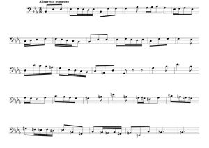 标价非售价 大象 卡米耶版 巴松管独奏 有试听-云音圈