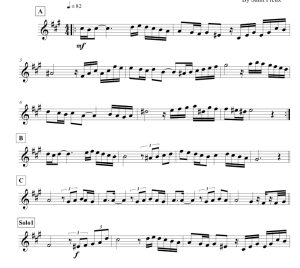 标价非售价 天使协奏曲 莱奥版 小号独奏 有试听-云音圈