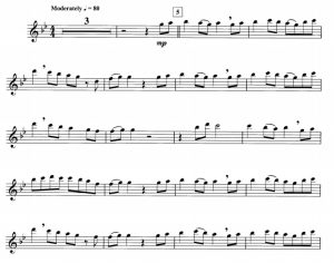 天堂阶梯 长笛独奏 带伴奏音频 有试听-云音圈