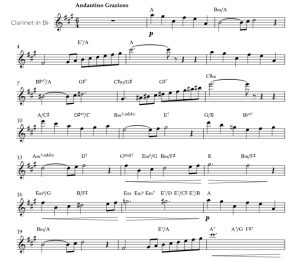 标价非售价 天鹅  佩德罗版 单簧管独奏 有试听-云音圈