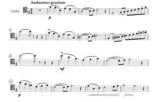 标价非售价 天鹅 The Swan 马科斯版 大提琴独奏 有试听-云音圈