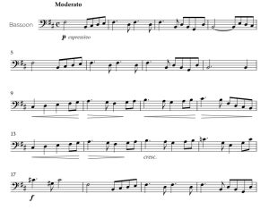 标价非售价 天鹅湖 Swan Lake 佩德罗版 巴松管独奏 有试听-云音圈