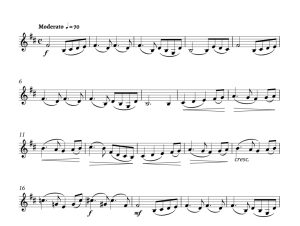 标价非售价 天鹅湖主题曲 里卡版 单簧管独奏 有试听-云音圈