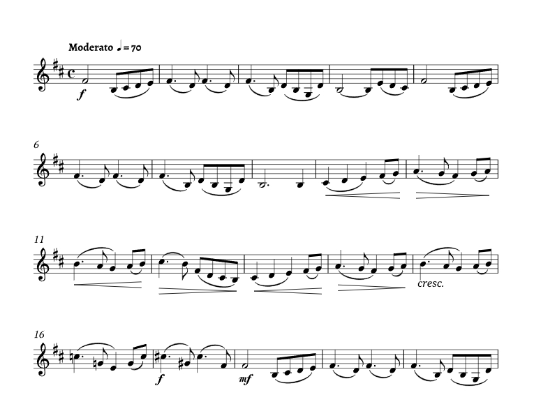 标价非售价 天鹅湖主题曲 里卡版 单簧管独奏 有试听