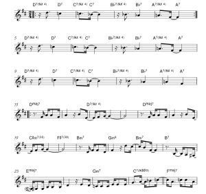 标价非售价 女士桑巴 萨莱斯版 小号独奏 有试听-云音圈