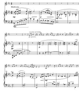 小麦 大卫版 短号钢琴 总分谱 有试听-云音圈