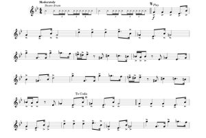 标价非售价 帝国进行曲 达斯・维达主题曲 约翰版 双簧管独奏 有试听-云音圈