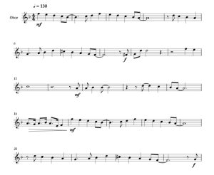 标价非售价 带我飞向月球 海森堡版 双簧管独奏 有试听-云音圈