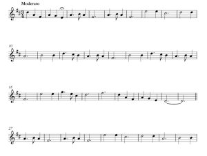 标价非售价 平安夜 Silent Night 小号独奏 SMMUS改编 有试听-云音圈