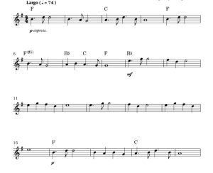 标价非售价 广板（第九交响曲 “自新大陆” 第二乐章）罗德里戈版 小号独奏 有试听-云音圈