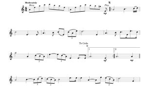 标价非售价 愿原力与你同在 约翰版 双簧管独奏 有试听-云音圈