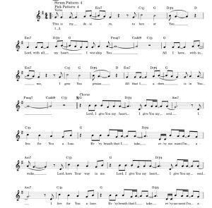 标价非售价 我将心献给你 简易版 吉他独奏 有试听-云音圈