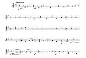 标价非售价 我独自徜徉遐想 威尔版 马林巴独奏 有试听-云音圈