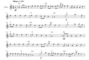 标价非售价 捕鲸人 汤姆版 双簧管独奏 有试听-云音圈